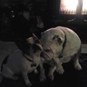 Judy Betts's photo