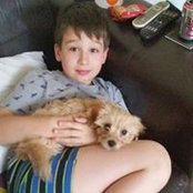 Sara Foster's photo