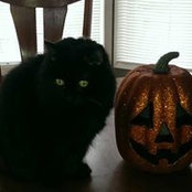 Ivy Powell's photo