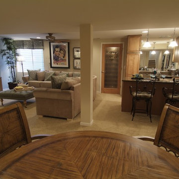 Castle Rock Basement Finish