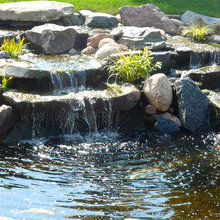 Pond ideas