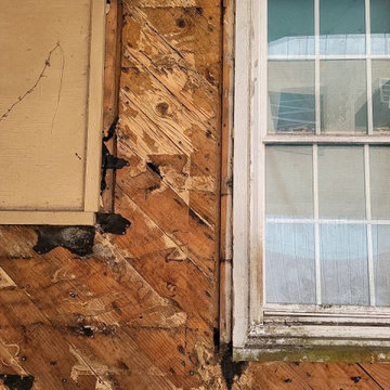 Termite Damage Is at it Again