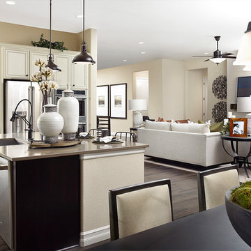 Delaney model home in Colorado