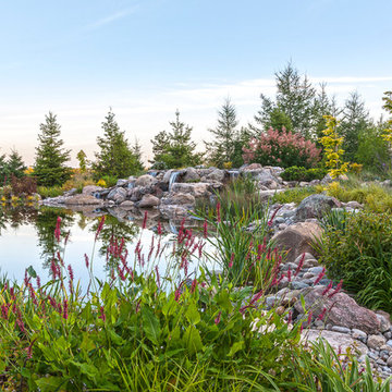 Natural Swimming Pond