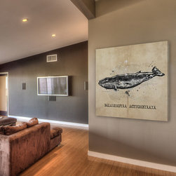 Baleine - Products