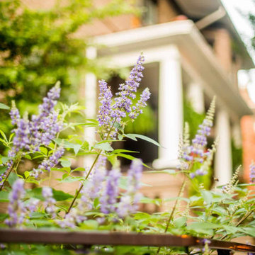 Serene Garden Sanctuary