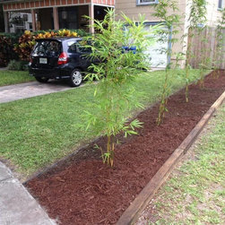 Bamboo installations - Products