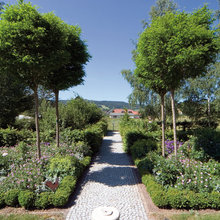 the garden world