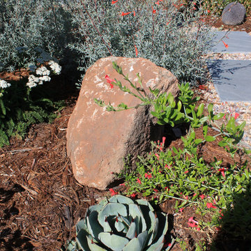 Wildlife-friendly front yard in Sunnyvale