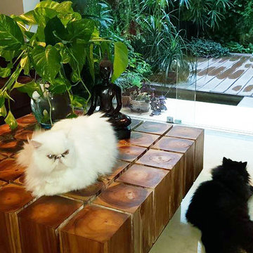 Pet Friendly Furniture