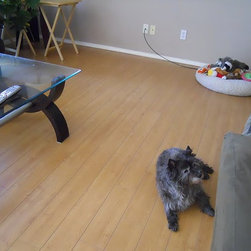 Masterpiece Laminate - Laminate Flooring