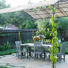 landscaping & backyard