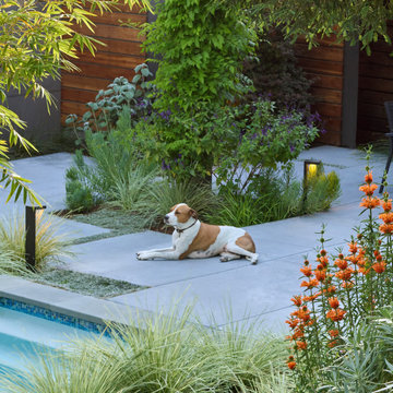 Oakland Hills Hideaway