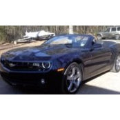 Lisa Anderson's photo