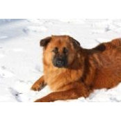 Tina Grillo's photo