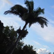 Gail James's photo