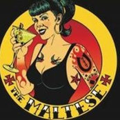 Maltese Bar's photo