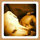 Aditi Shingal