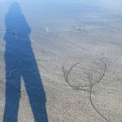 Sue Thomas's photo