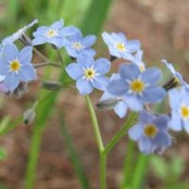 Foto von Judith Heffern