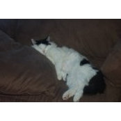 Kathy DiVasta's photo