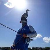 Matt Egan's photo