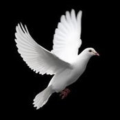 Martina Willke's photo