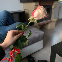 Anaa's ideas