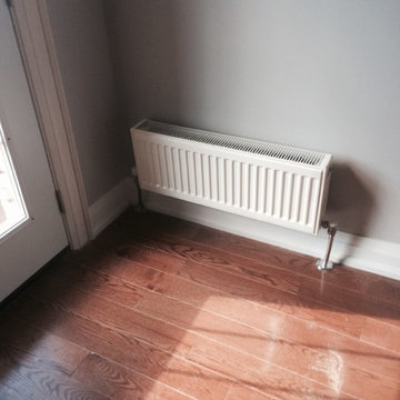 Boiler and radiators