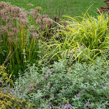 Lush Front Yard