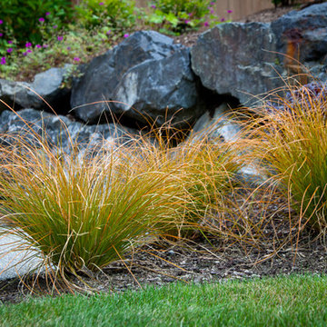 Margie's Entry Landscape