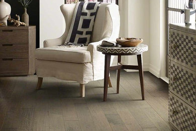 Mid-sized elegant guest dark wood floor bedroom photo in San Diego with white walls