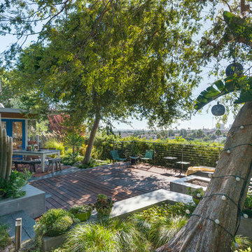Franklin Hills Midcentury