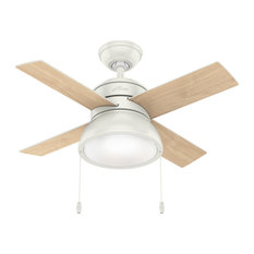 50 Most Popular 36 Inch Ceiling Fans For 2020 Houzz
