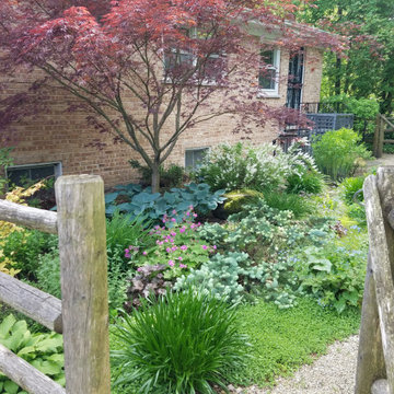 Small Urban Garden