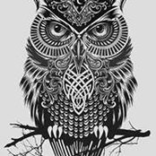 Mihai Postolache's photo