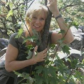 DeAnna Norris's photo