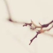 Benji Hoang's photo