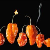 Foto von Virge Lorents