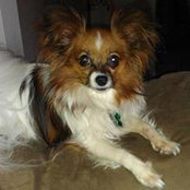Marlene Hehmeyer's photo