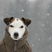 Jesse Robertson's photo
