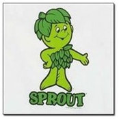 Chris Sproutさんの写真