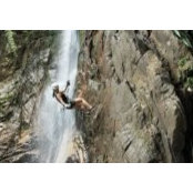 Janelle Moore's photo