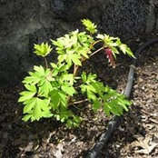 Connie Hansen's photo