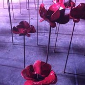 Foto von Katherine Bailey