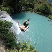 Max Chu's photo