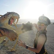 Amanda Gribble's photo