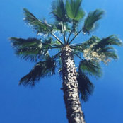 Sara D's photo