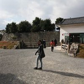 Agnes Pacheco's photo