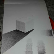 Heba Kandeel's photo